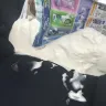 Burger King - 5 shake in one cup holder - Photo 2