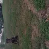 Spectrum.com - cut underground dog fence - Photo 2