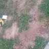 Spectrum.com - cut underground dog fence - Photo 3