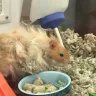 PetSmart - animal mistreatment - Photo 11