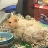 PetSmart - animal mistreatment - Photo 3