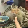 PetSmart - animal mistreatment - Photo 2
