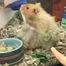 PetSmart - animal mistreatment - Photo 5