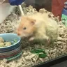 PetSmart - animal mistreatment - Photo 9
