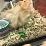 PetSmart - animal mistreatment - Photo 6