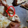 Domino's Pizza - foreign object found in pizza-larva - Photo 1