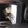 General Motors - formal complaint about customer service - Photo 7