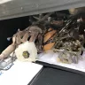General Motors - formal complaint about customer service - Photo 11