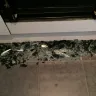 Kelvinator - oven door - Photo 2