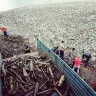 Coles Supermarkets Australia - ban the bag