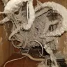 American Home Shield [AHS] - refusal to cover items covered under home warranty - Photo 1
