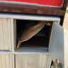 Canada Post - letter mail - Photo 1
