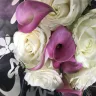 Serenata Flowers - flowers - Photo 2