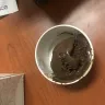Baskin-Robbins - service - Photo 1