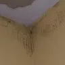 Days Inn - cleanliness, unprofessional staff, health hazards - Photo 1