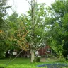 Cincinnati Metropolitan Housing Authority [CMHA] - Public safety issue - Photo 1