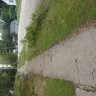 Asplundh Tree Expert - limb cutting - Photo 1