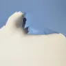 Dulux Paints - dulux silk emulsion - Photo 1