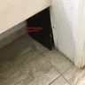 Motel 6 - room 222, 1616 mabry drive, clovis, nm filthy - Photo 5