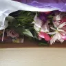 Ioana Feraru - flowers - Photo 2