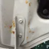 Maruti Suzuki India / Maruti Udyog - corrosion on my car body