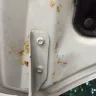Maruti Suzuki India / Maruti Udyog - corrosion on my car body - Photo 2