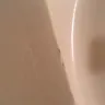 Days Inn - deplorable, mold infested room - Photo 4