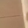 Days Inn - deplorable, mold infested room - Photo 5