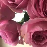 Serenata Flowers - poor quality of flowers received and inadequate moisture for transit - Photo 3