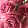 Serenata Flowers - poor quality of flowers received and inadequate moisture for transit - Photo 5