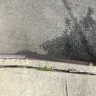 Tim Hortons - drive thru narrow??? - Photo 1