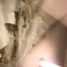 Morgan Properties - my closet ceiling - Photo 3