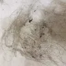24 Hour Fitness - gym's cleanliness - Photo 1