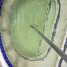 La Quinta Inns & Suites - pool and hot tub terrible condition - Photo 3