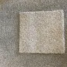 Mohawk Industries - smartstrand carpet - Photo 4
