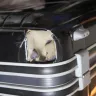 Philippine Airlines - a philippine airlines employee (no 105) from the transfer section dropped my bag which has rendered it unusable - Photo 1