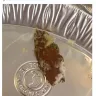 Chipotle Mexican Grill - food - Photo 1