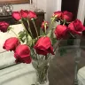 Vons - roses - Photo 1