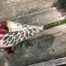 Vons - roses - Photo 2