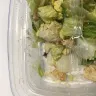 Panera Bread - huge bug found in caesar salad