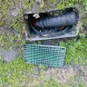 Frontier Communications - the service (junction) boxes in our neighborhood. - Photo 3
