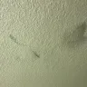 Motel 6 - room - Photo 13