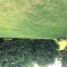 TruGreen - lawn care - Photo 1