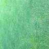TruGreen - lawn care - Photo 3