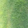 TruGreen - lawn care - Photo 4