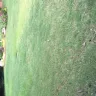 TruGreen - lawn care - Photo 5