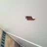 Ballard Designs - banquette bench - Photo 1
