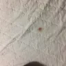 Americas Best Value Inn - roaches and bed bugs