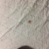 Americas Best Value Inn - roaches and bed bugs - Photo 1