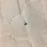 Americas Best Value Inn - roaches and bed bugs - Photo 3